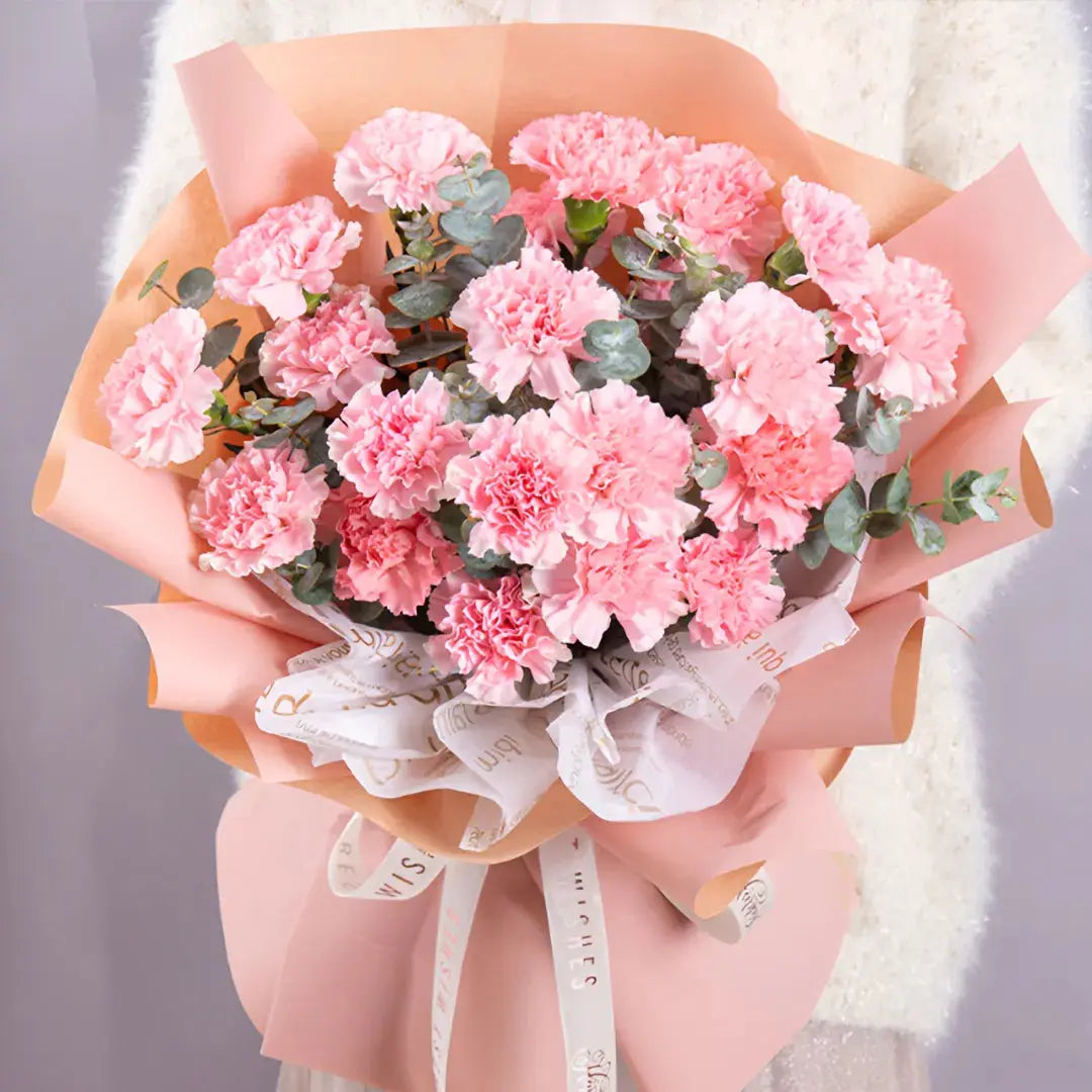 Blush Harmony Carnation Bouquet 999Flowers