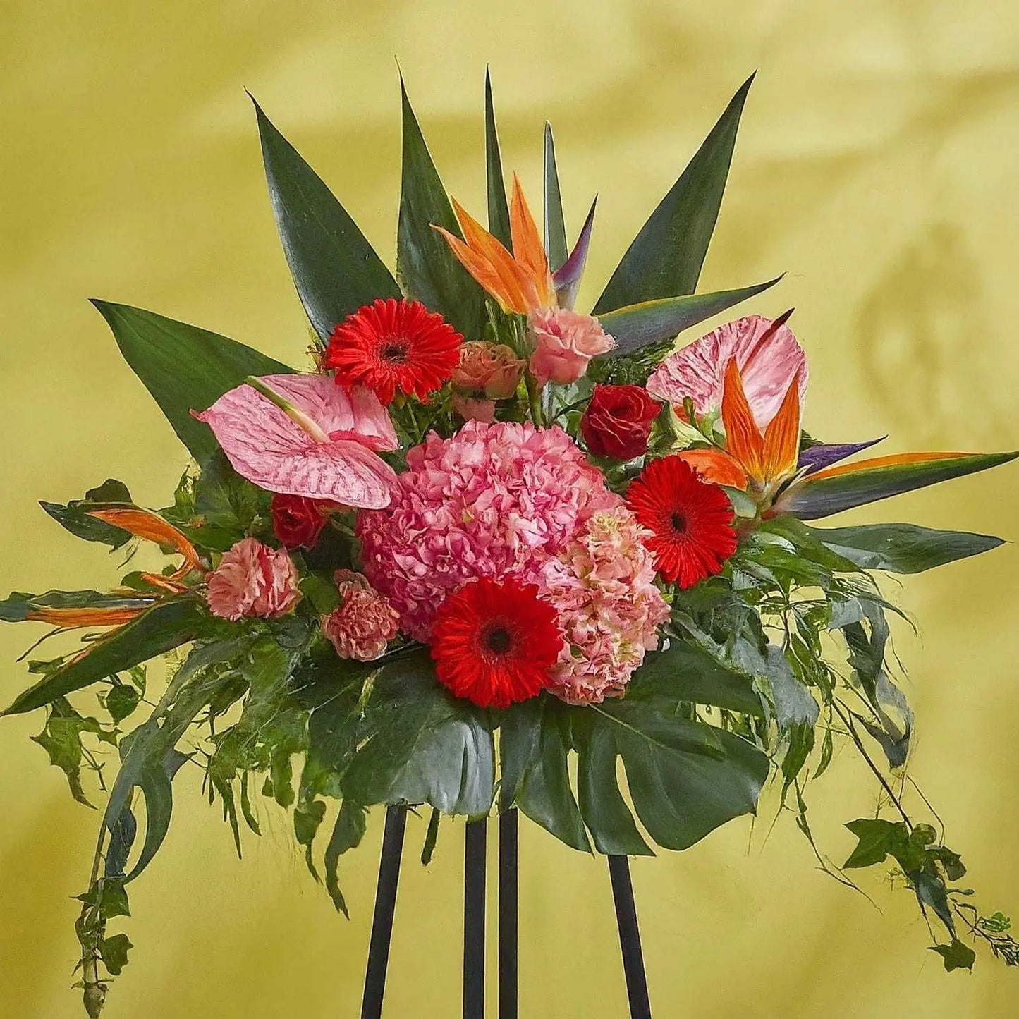 Flourishing Beginnings - With Stand - 999Flowers